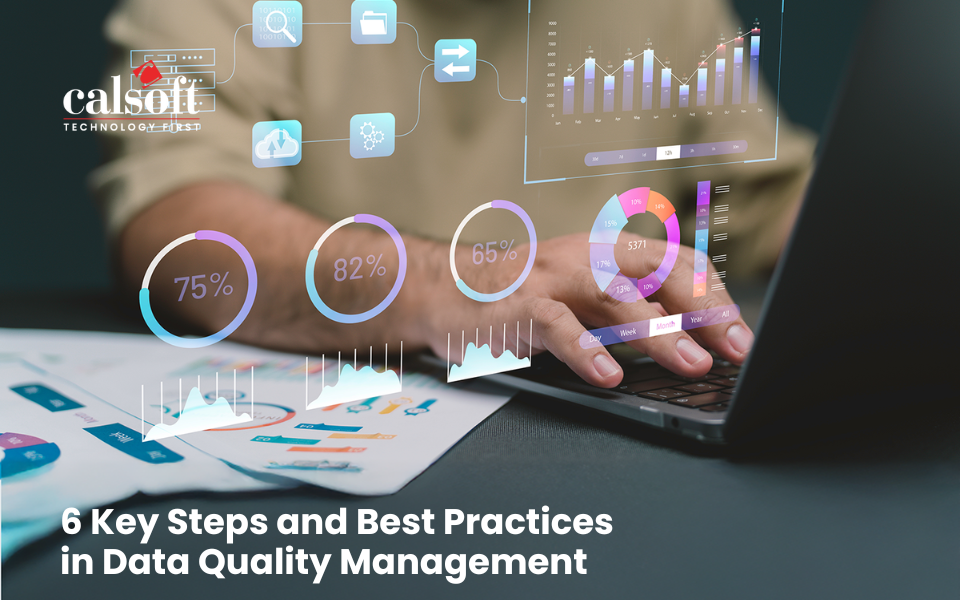 6 Key Steps and Best Practices in Data Quality Management